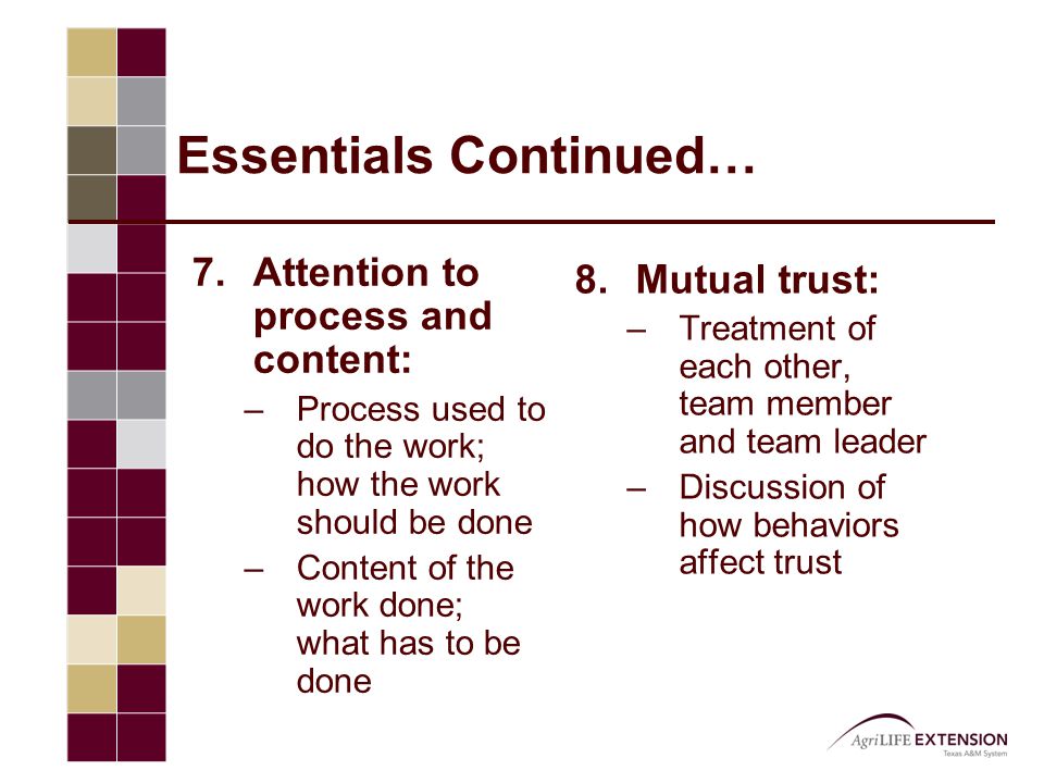Essentials Continued… 7.Attention to process and content: –Process used to do the work; how the work should be done –Content of the work done; what has to be done 8.Mutual trust: –Treatment of each other, team member and team leader –Discussion of how behaviors affect trust