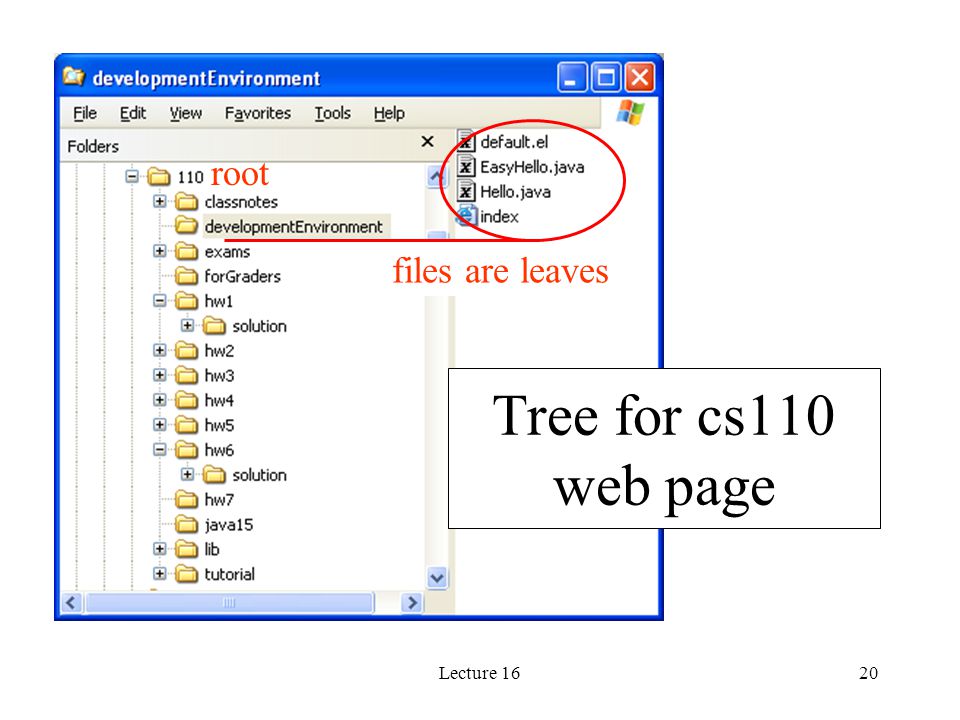 Lecture 1620 Tree for cs110 web page files are leaves root