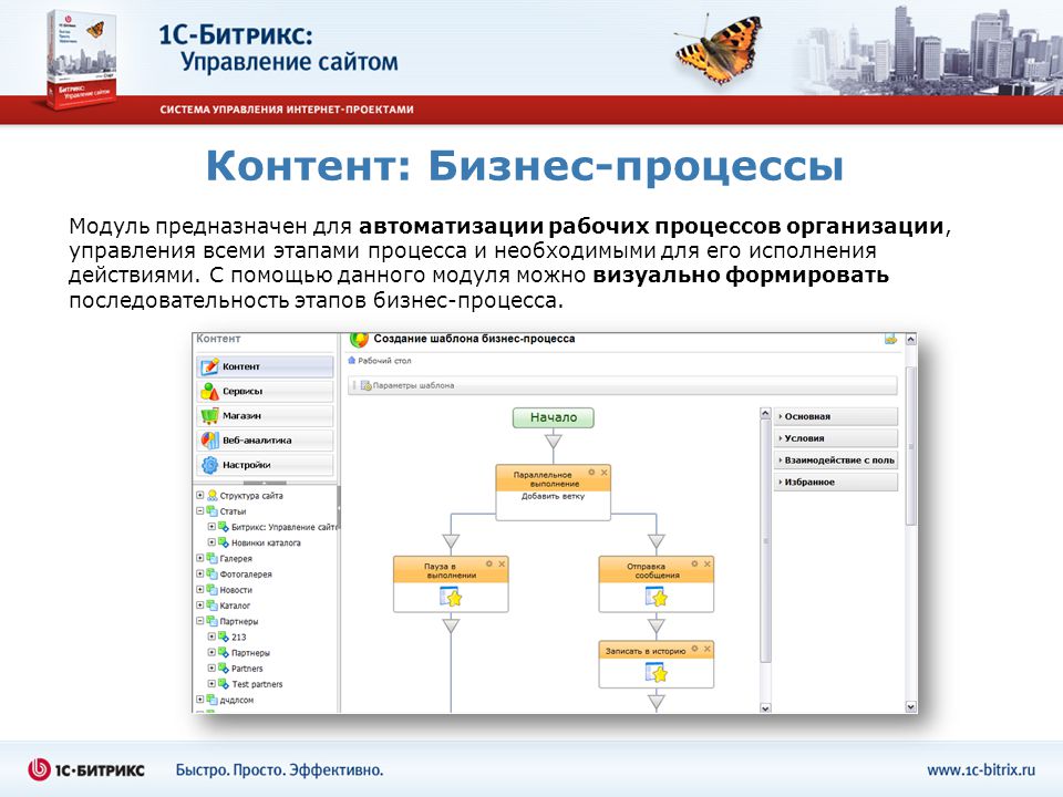 Управление интернет проектами