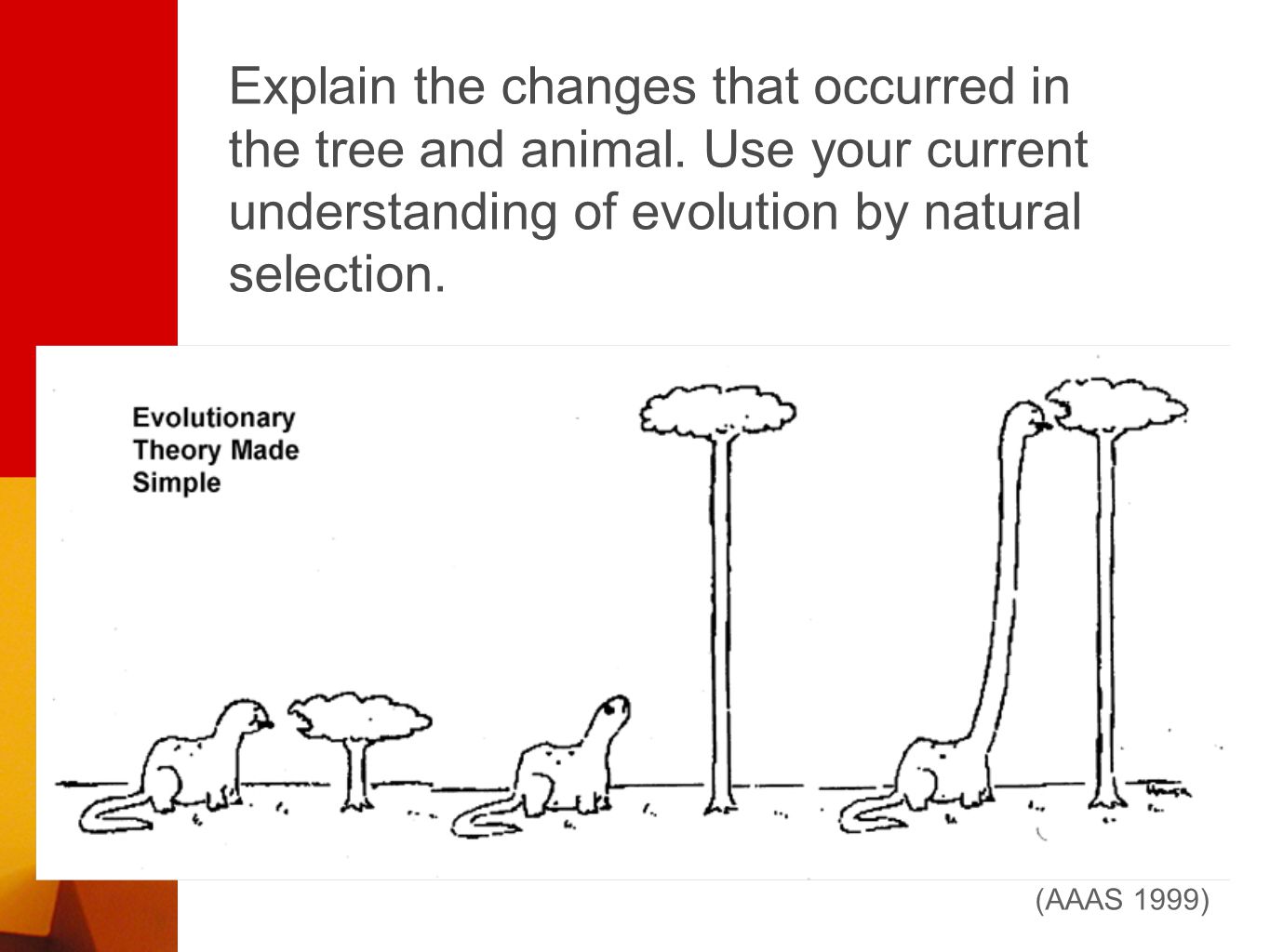 (AAAS 1999) Explain the changes that occurred in the tree and animal.