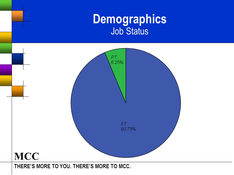 THERE’S MORE TO YOU. THERE’S MORE TO MCC. MCC Demographics Job Status