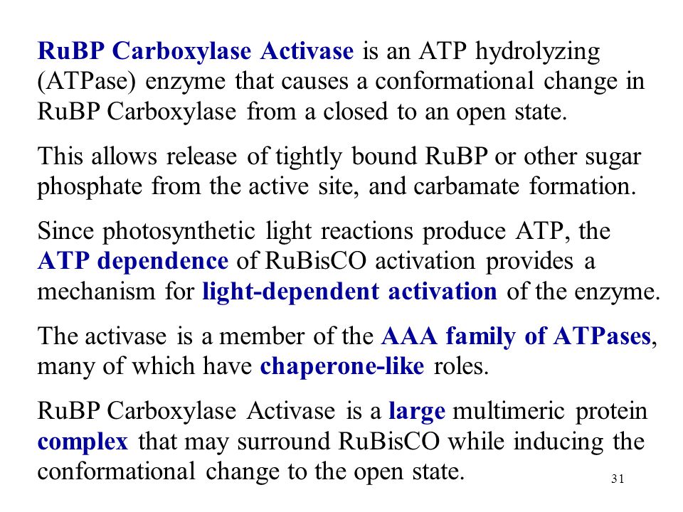 RuBP Carboxylase Activase is an ATP hydrolyzing (ATPase) enzyme that causes a conformational change in RuBP Carboxylase from a closed to an open state.