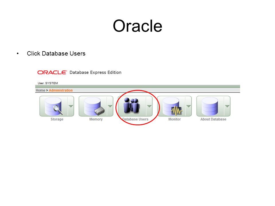 Oracle Click Database Users