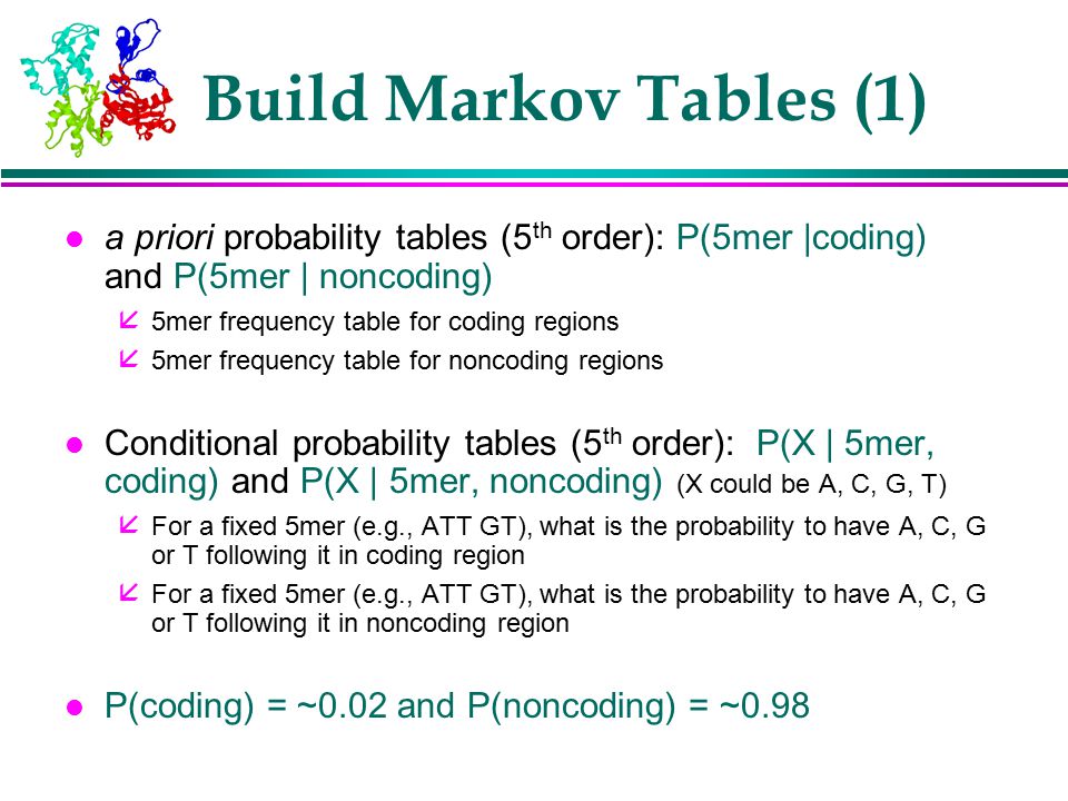 Computational Gene Finding Dong Xu Computer Science Department 109 Engineering Building West Ppt Download