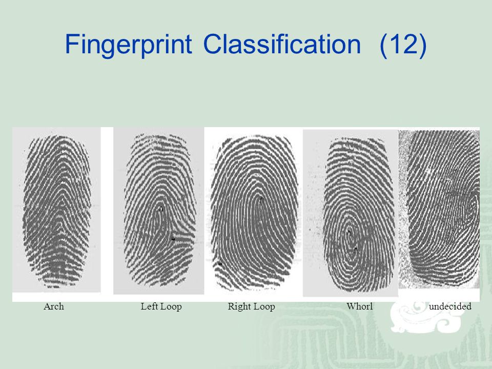 Sectionname ru настройки отпечатков профилей en fingerprints. Fingerprint. Fingerprint identification. Looped Fingerprint. Arched Fingerprint.