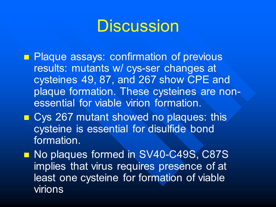 Discussion Plaque assays: confirmation of previous results: mutants w/ cys-ser changes at cysteines 49, 87, and 267 show CPE and plaque formation.