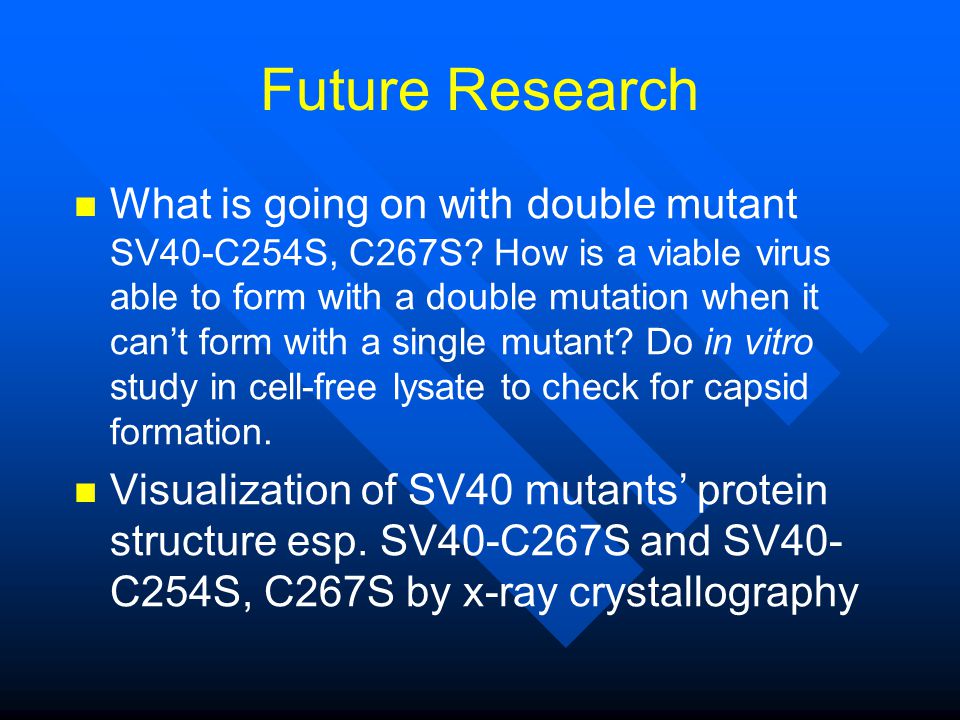 Future Research What is going on with double mutant SV40-C254S, C267S.