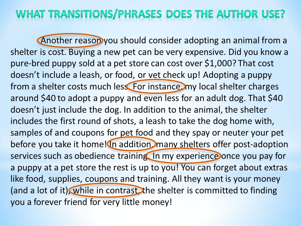 Another reason you should consider adopting an animal from a shelter is cost.