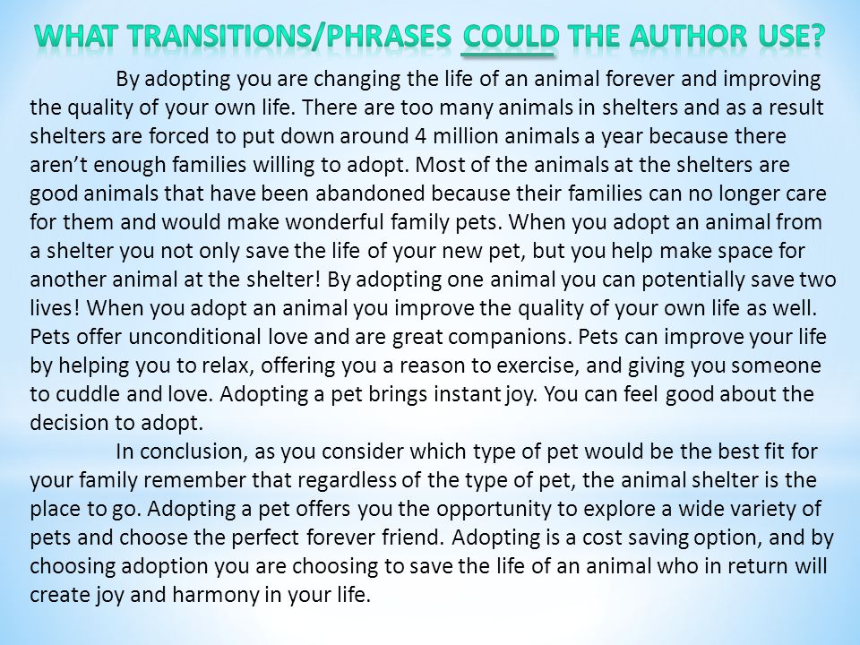 By adopting you are changing the life of an animal forever and improving the quality of your own life.