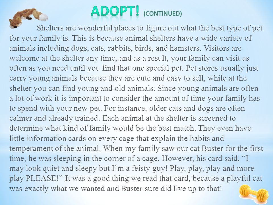 Shelters are wonderful places to figure out what the best type of pet for your family is.