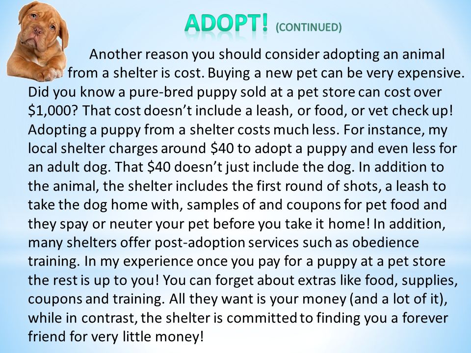 Another reason you should consider adopting an animal f from a shelter is cost.