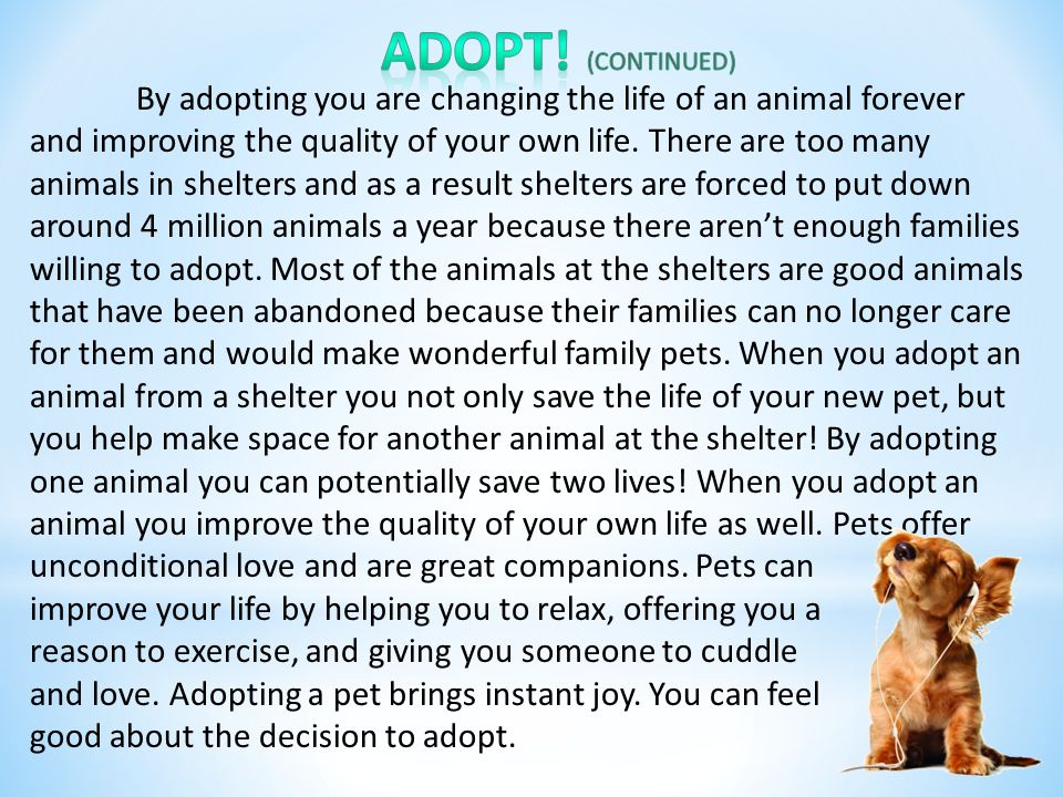 By adopting you are changing the life of an animal forever and improving the quality of your own life.