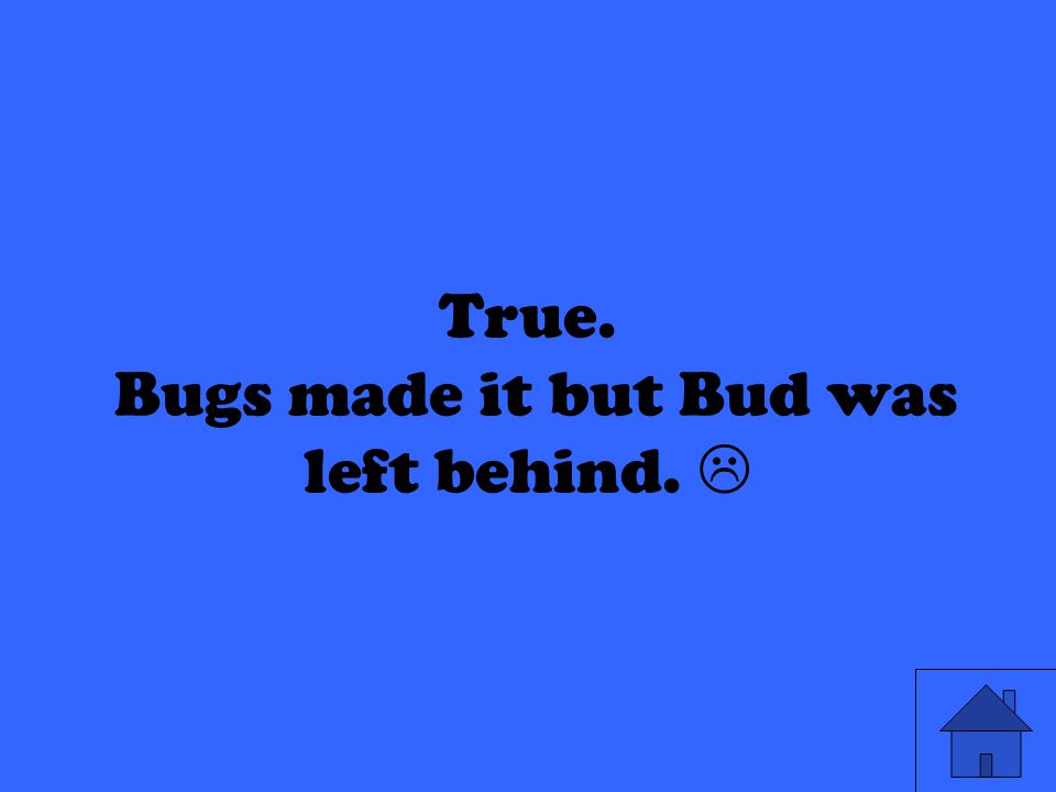 True. Bugs made it but Bud was left behind. 