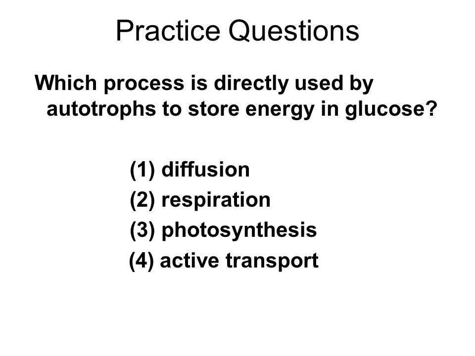 Practice Questions Which process is directly used by autotrophs to store energy in glucose.
