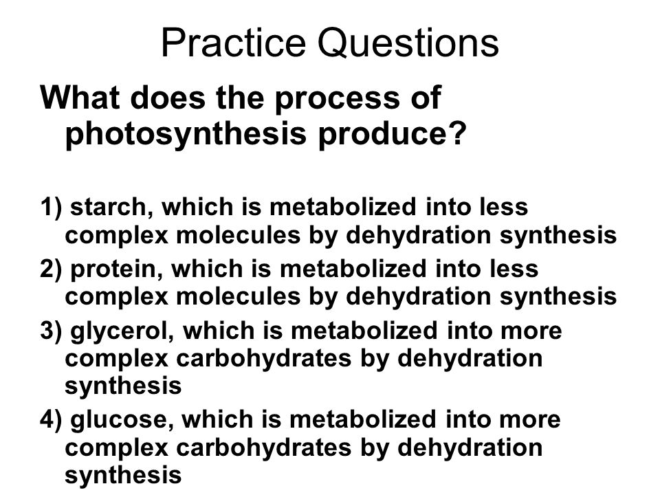 Practice Questions What does the process of photosynthesis produce.