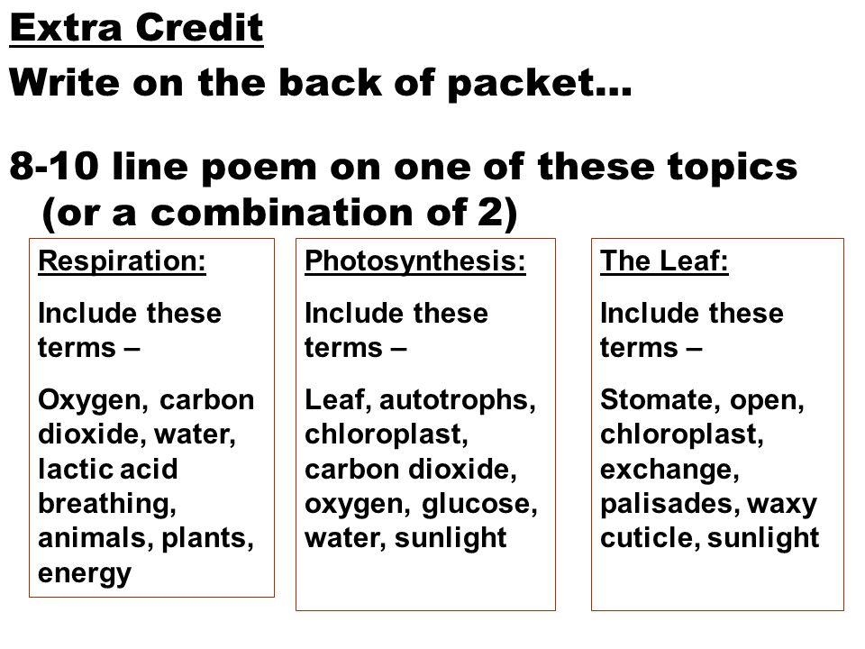 Extra Credit Write on the back of packet… 8-10 line poem on one of these topics (or a combination of 2) Respiration: Include these terms – Oxygen, carbon dioxide, water, lactic acid breathing, animals, plants, energy Photosynthesis: Include these terms – Leaf, autotrophs, chloroplast, carbon dioxide, oxygen, glucose, water, sunlight The Leaf: Include these terms – Stomate, open, chloroplast, exchange, palisades, waxy cuticle, sunlight
