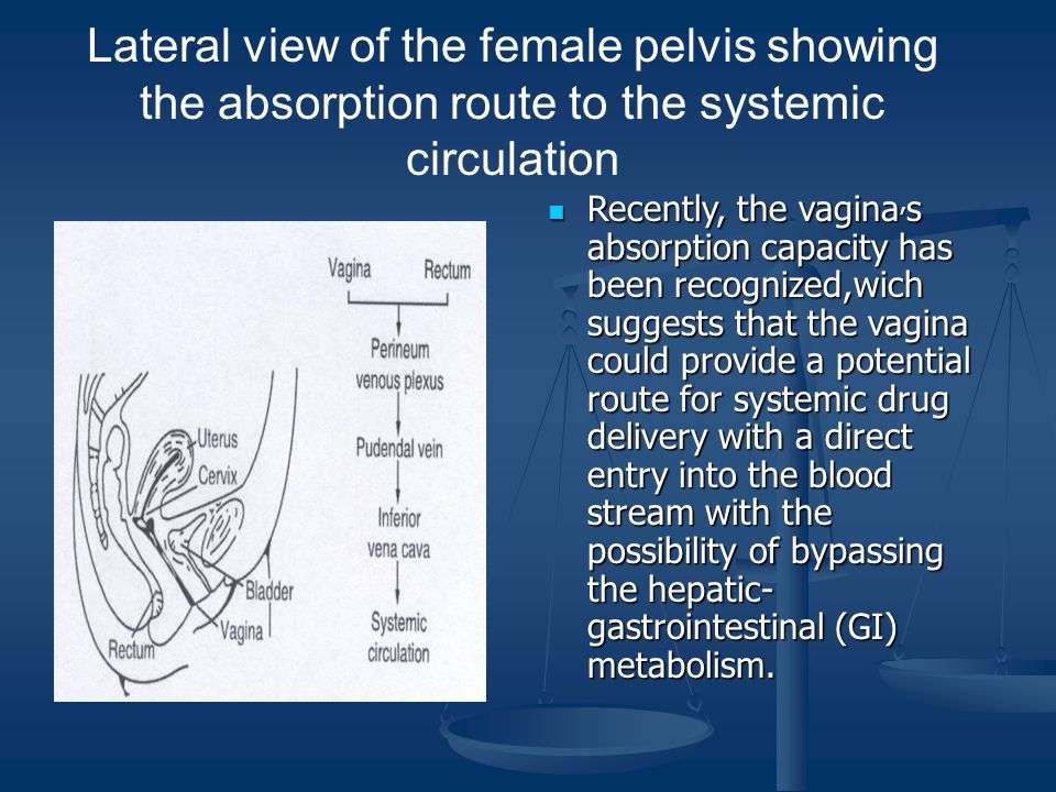 vagina absorbtion fluids Vagina absorbtion fluids