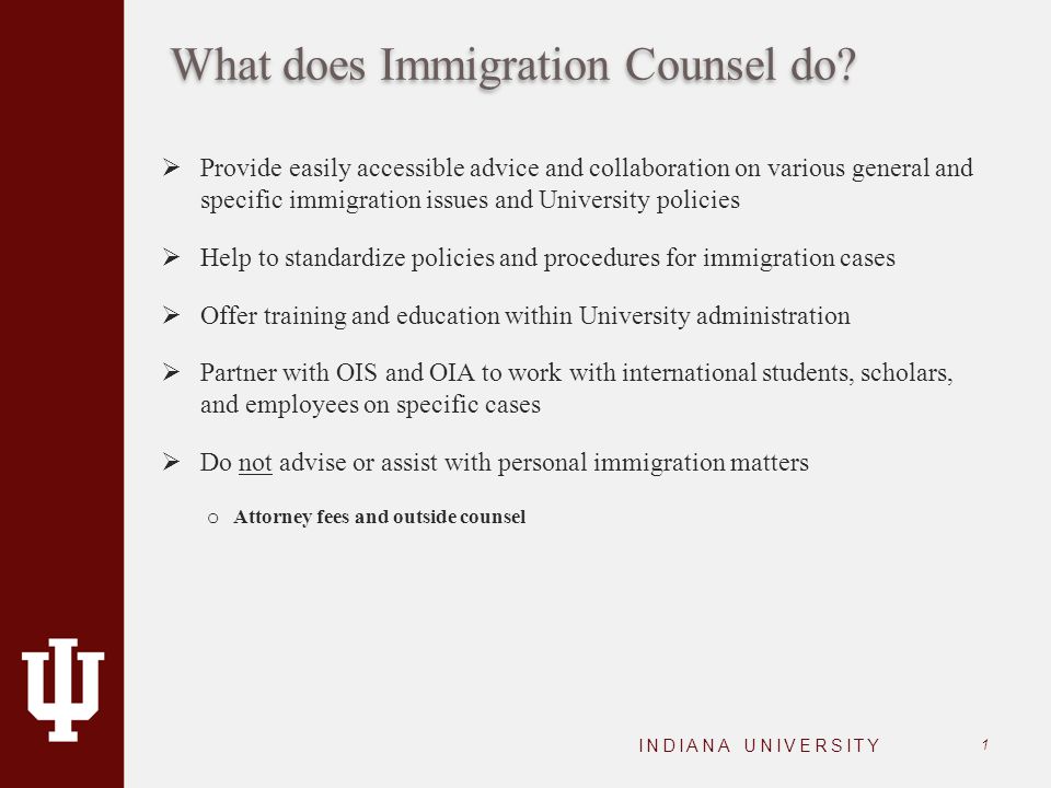 What does Immigration Counsel do.