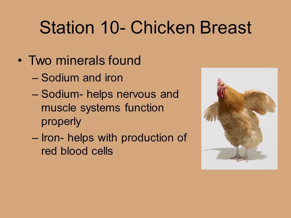 Station 10- Chicken Breast Two minerals found –Sodium and iron –Sodium- helps nervous and muscle systems function properly –Iron- helps with production of red blood cells