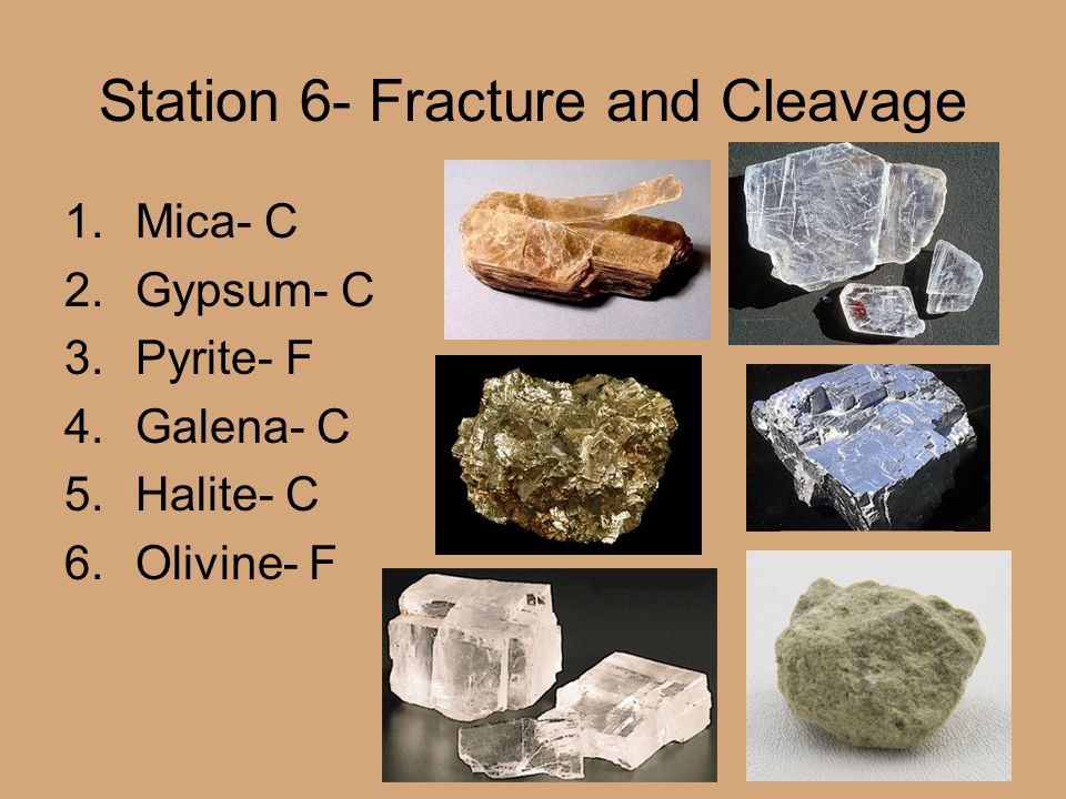 Station 6- Fracture and Cleavage 1.Mica- C 2.Gypsum- C 3.Pyrite- F 4.Galena- C 5.Halite- C 6.Olivine- F