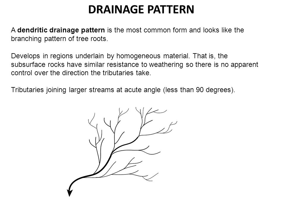 DRAINAGE PATTERN A dendritic drainage pattern is the most common form and looks like the branching pattern of tree roots.