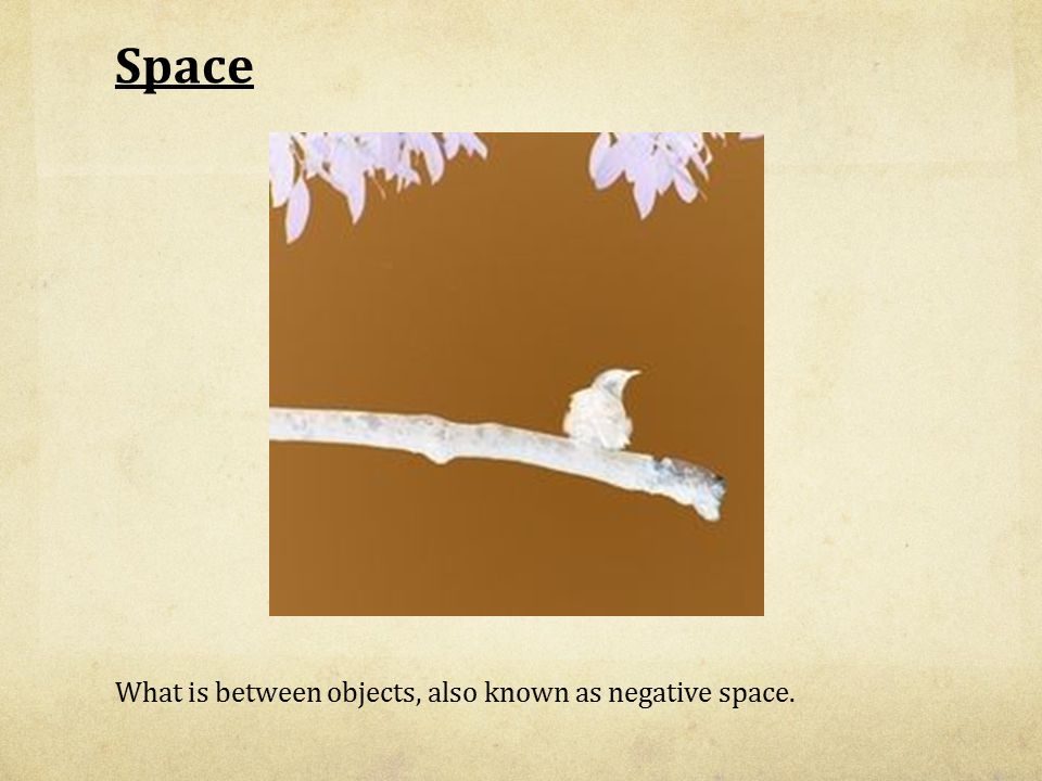 Space What is between objects, also known as negative space.