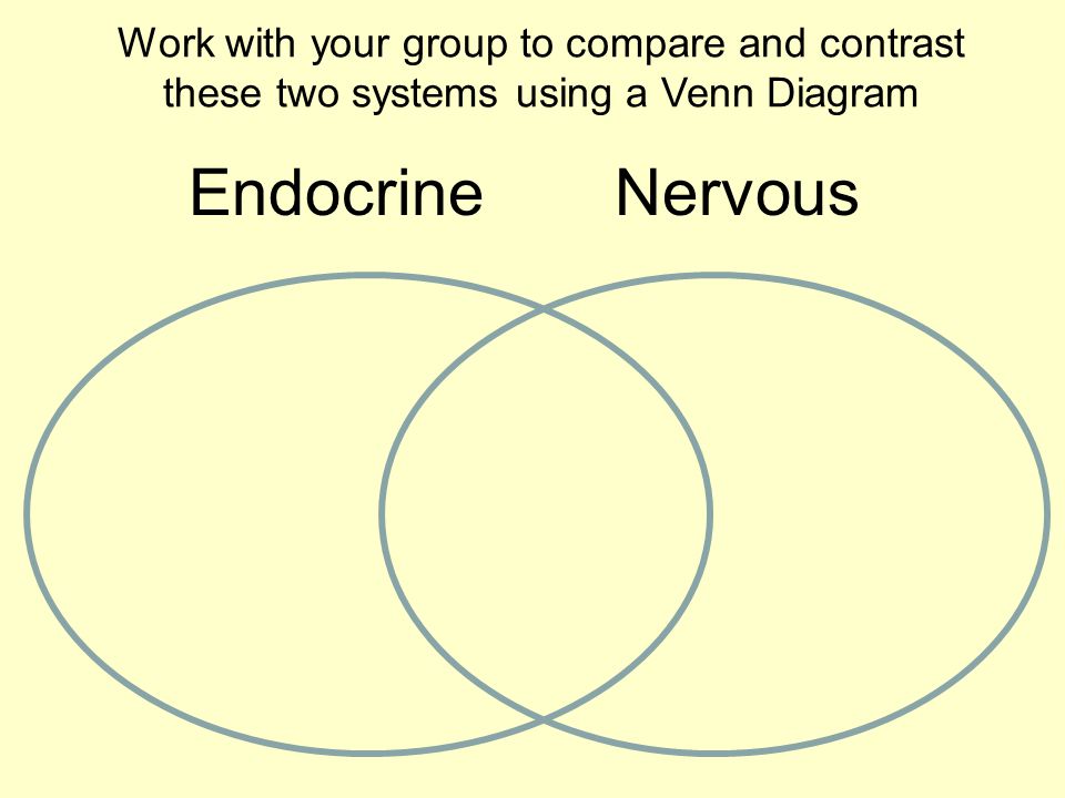 the nervous system function the nervous system is responsible for central nervous system vs peripheral nervous system venn diagram