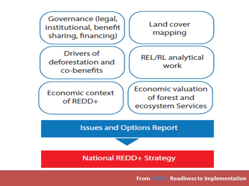 From REDD+ Readiness to Implementation