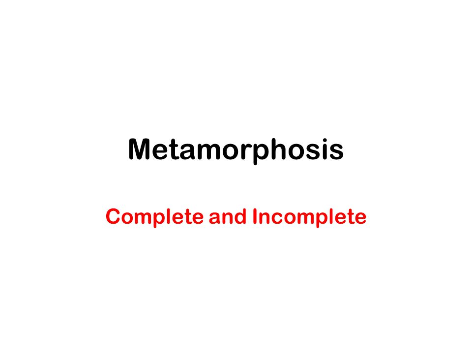 Metamorphosis Complete and Incomplete