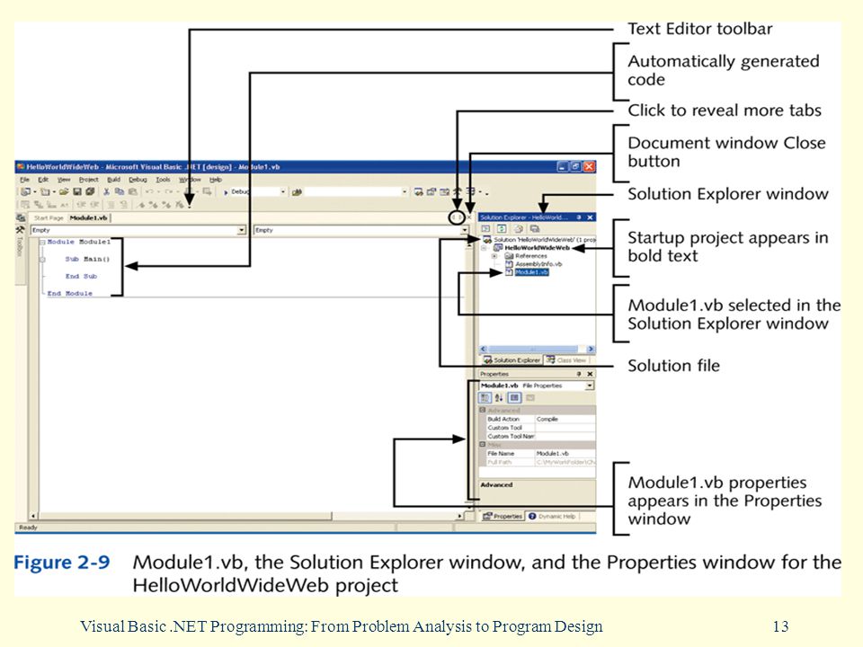 Visual Basic.NET Programming: From Problem Analysis to Program Design13