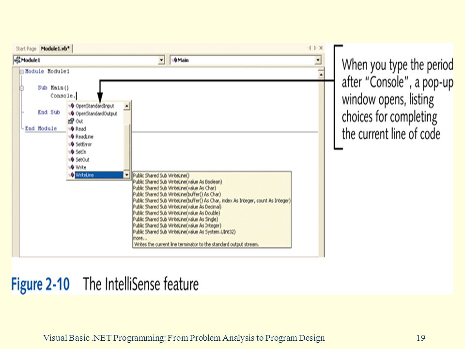 Visual Basic.NET Programming: From Problem Analysis to Program Design19