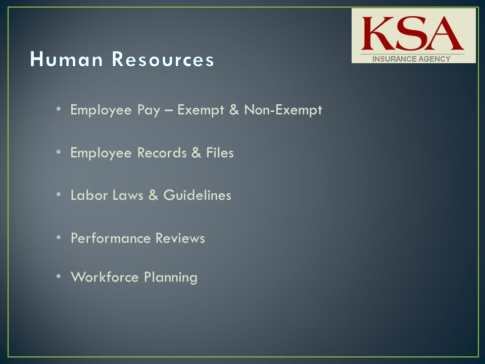 Employee Pay – Exempt & Non-Exempt Employee Records & Files Labor Laws & Guidelines Performance Reviews Workforce Planning