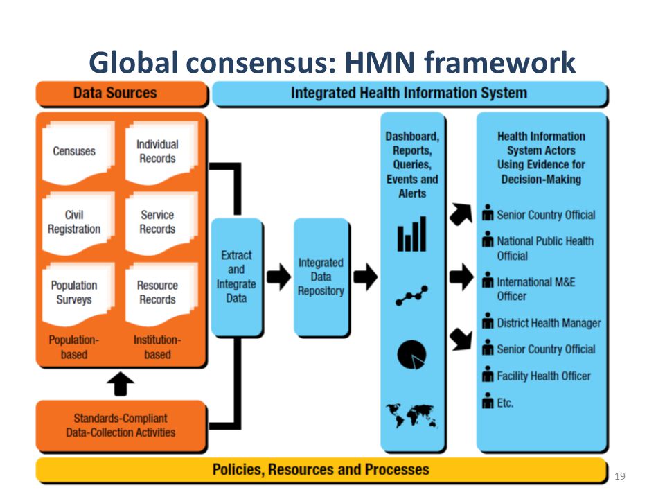 Global consensus: HMN framework 19