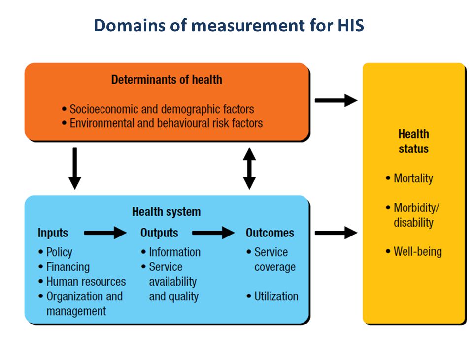 8 Domains of measurement for HIS