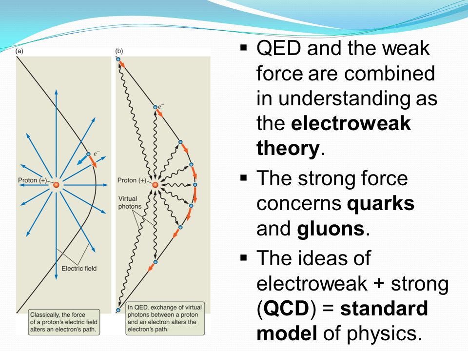 QED and the weak force are combined in understanding as the electroweak theory.