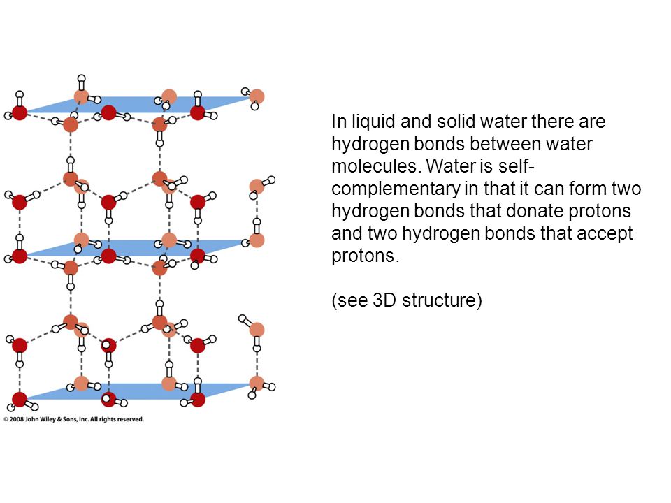 In liquid and solid water there are hydrogen bonds between water molecules....