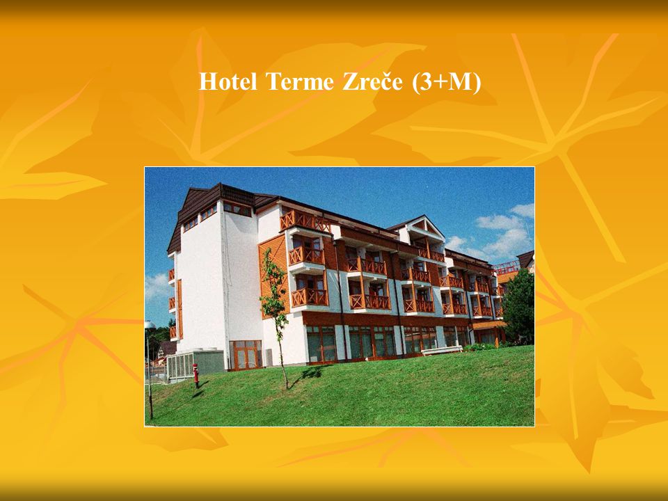 Hotel Terme Zreče (3+M)