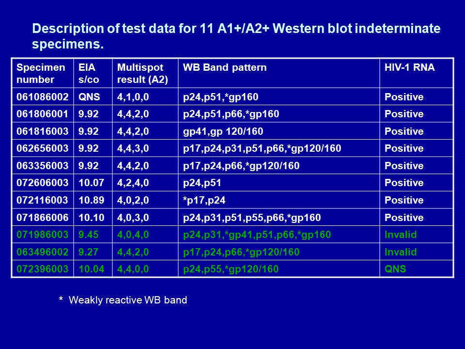 Description of test data for 11 A1+/A2+ Western blot indeterminate specimens.