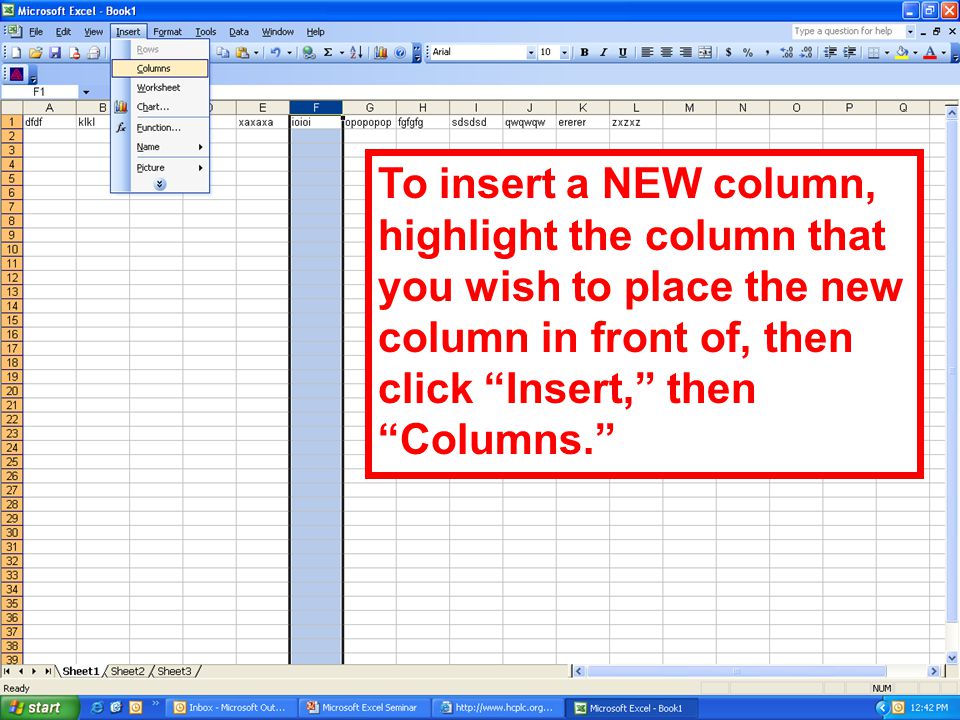 To insert a NEW column, highlight the column that you wish to place the new column in front of, then click Insert, then Columns.