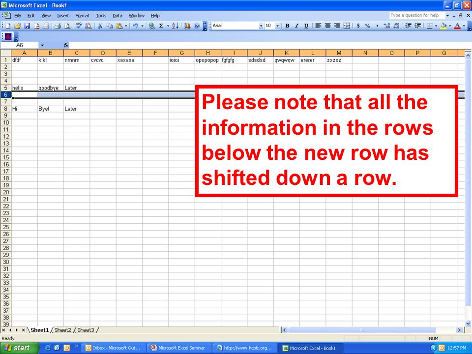 Please note that all the information in the rows below the new row has shifted down a row.