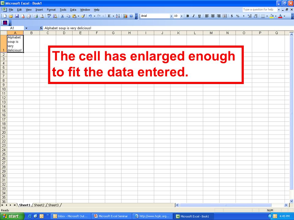 The cell has enlarged enough to fit the data entered.