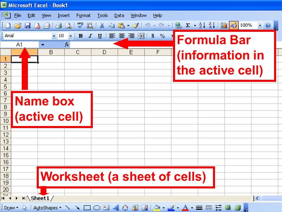 Name box (active cell) Formula Bar (information in the active cell) Worksheet (a sheet of cells)