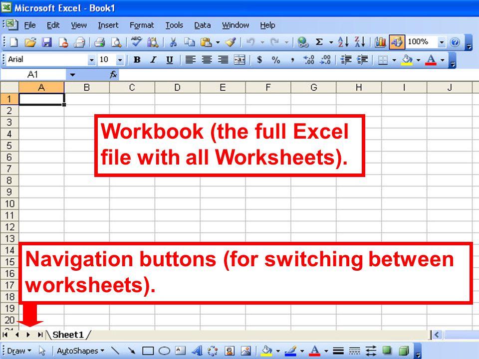 Workbook (the full Excel file with all Worksheets).