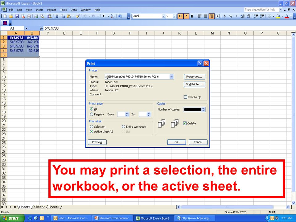 You may print a selection, the entire workbook, or the active sheet.