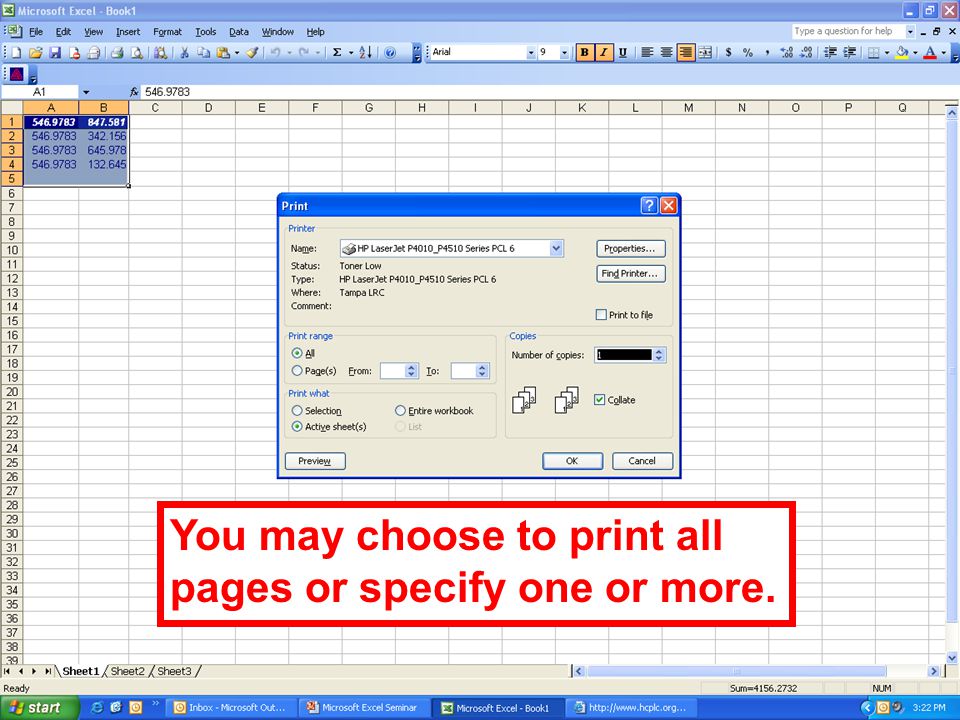 You may choose to print all pages or specify one or more.