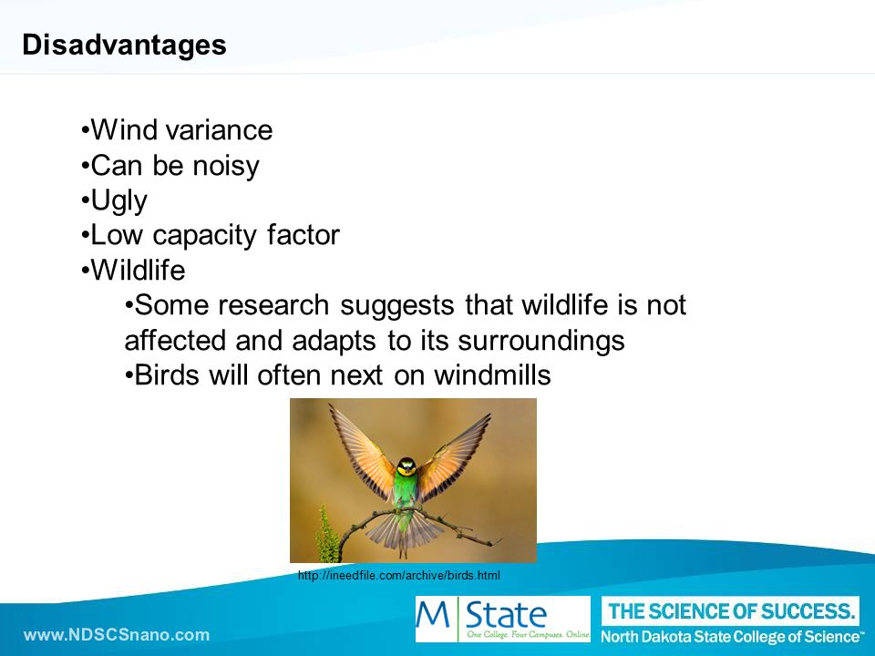 Disadvantages Wind variance Can be noisy Ugly Low capacity factor Wildlife Some research suggests that wildlife is not affected and adapts to its surroundings Birds will often next on windmills