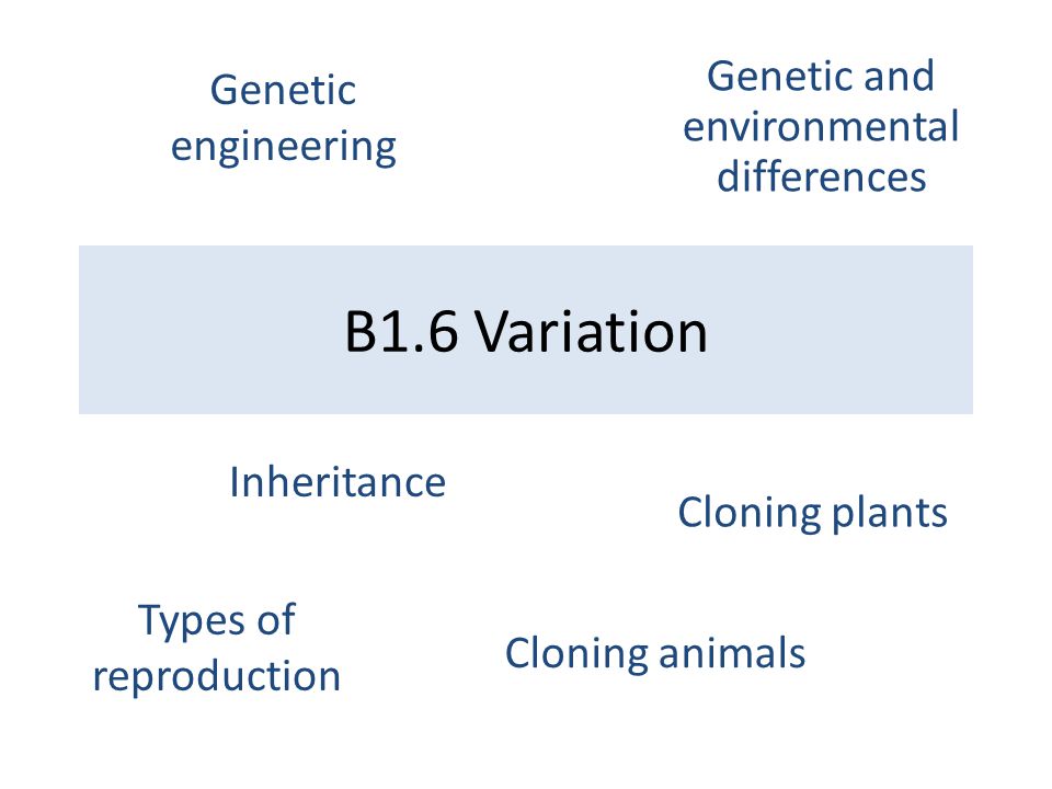 B1.6 Variation Inheritance Cloning plants Types of reproduction Genetic and environmental differences Genetic engineering Cloning animals