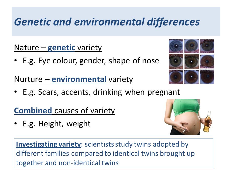 Genetic and environmental differences Nature – genetic variety E.g.