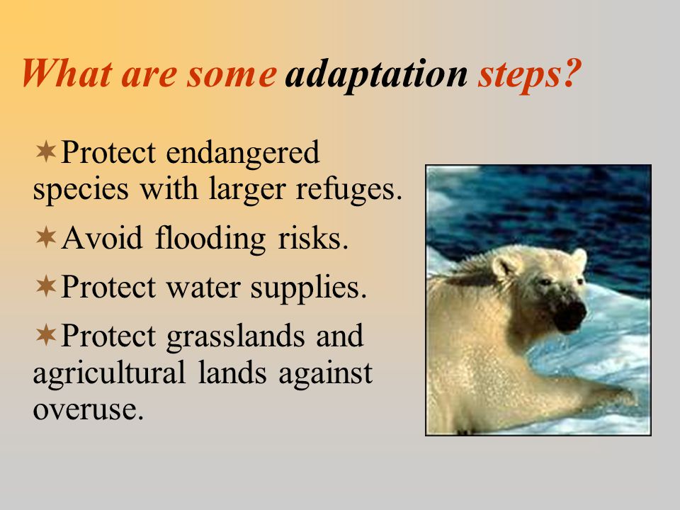 What are some adaptation steps.  Protect endangered species with larger refuges.