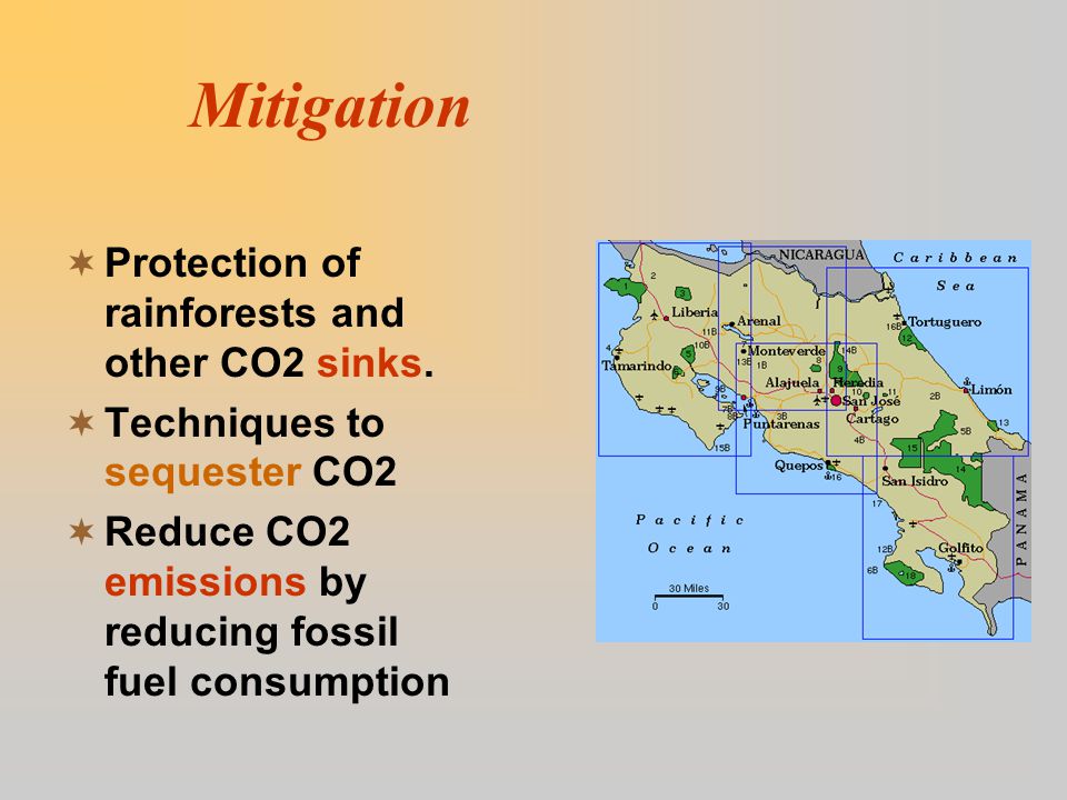 Mitigation  Protection of rainforests and other CO2 sinks.